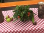 Kartoffelbraten 2017