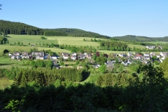 DSC_1053